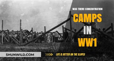 World War I Concentration Camps: Forgotten History and Hidden Truths