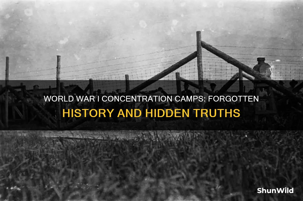 was there concentration camps in ww1
