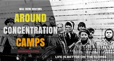 Doctors in Concentration Camps: Complicity, Ethics, and Historical Truth