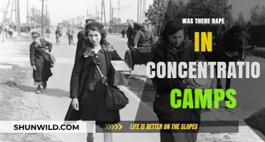 Sexual Violence in Concentration Camps: Uncovering the Dark Reality