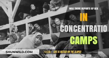 Sexual Violence in Concentration Camps: Historical Reports and Testimonies