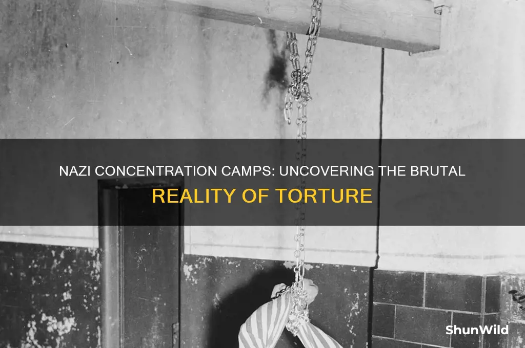 was there torture in nazi concentration camps