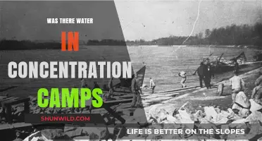 Water in Concentration Camps: A Grim Reality of Survival