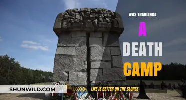 Was Treblinka a Death Camp? Uncovering the Dark History