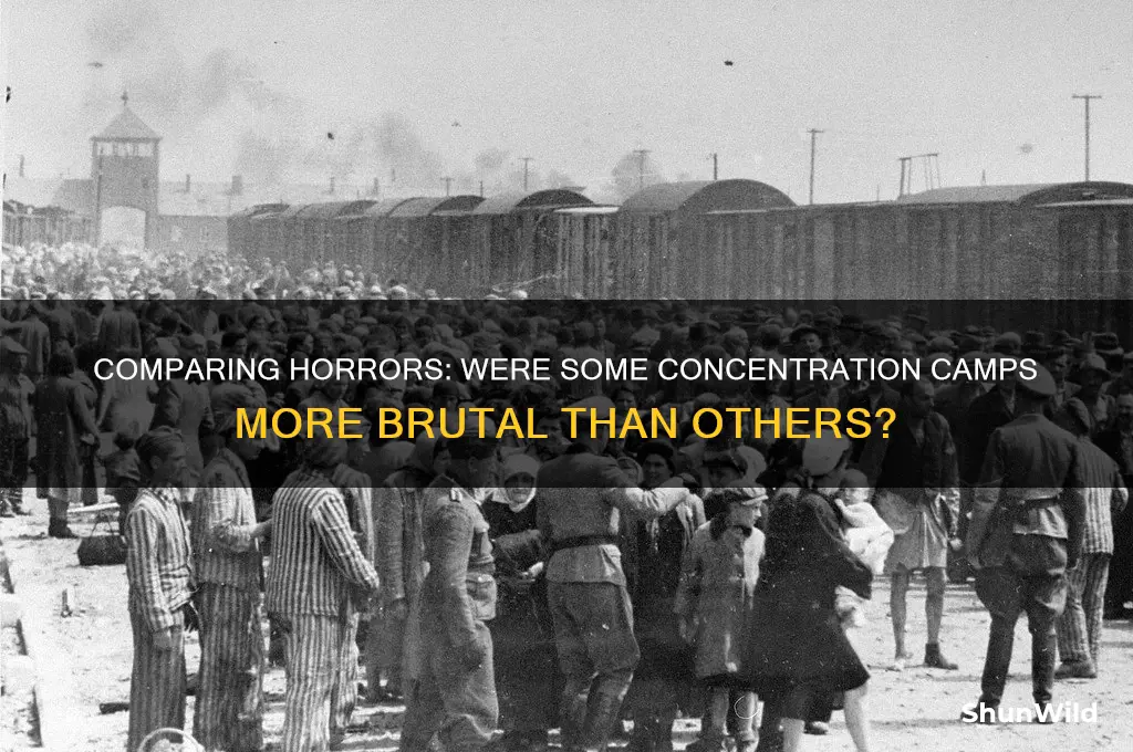 was treatment worse at some concentration camps
