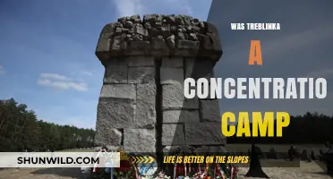 Treblinka: Uncovering the Truth About Its Role as a Death Camp