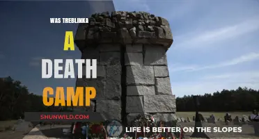 Treblinka: Uncovering the Truth About Its Role as a Death Camp