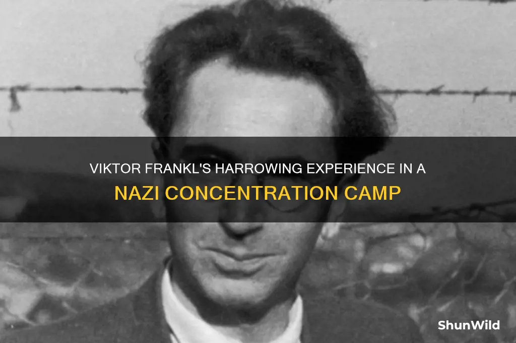 was viktor frankl in a concentration camp