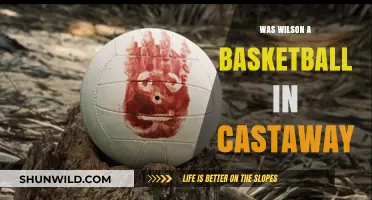 Volleying Wilson: Castaway's Basketball Companion