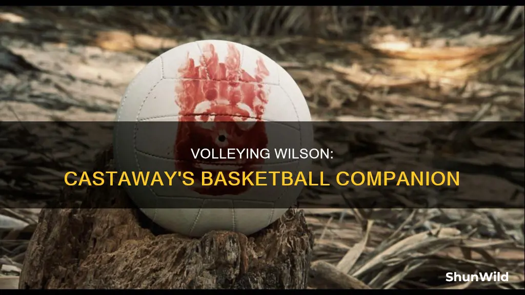 was wilson a basketball in castaway