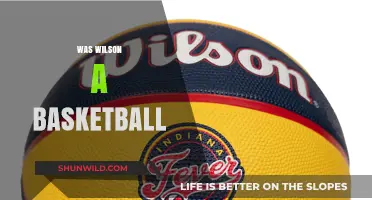 Wilson's Basketball Legacy: A Comprehensive Overview