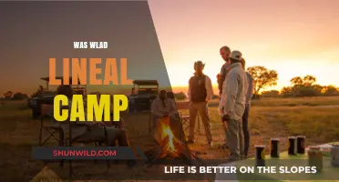 Exploring Wlad's Lineal Camp Legacy: History, Impact, and Significance
