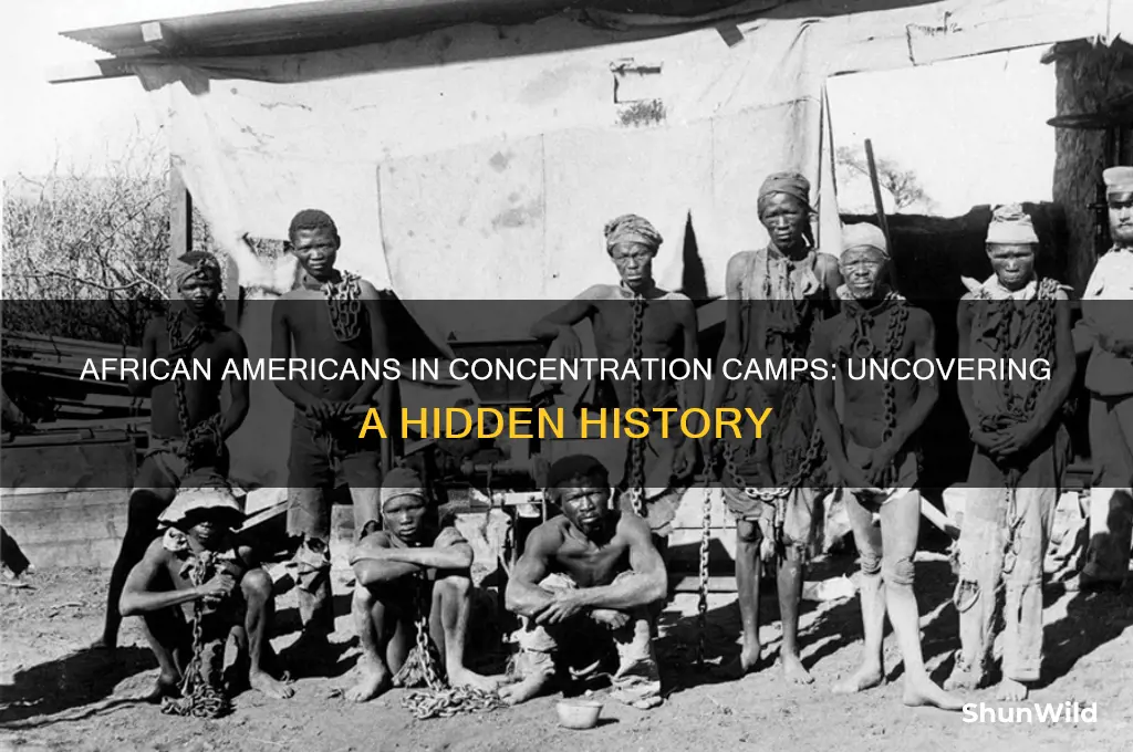 were african americans in concentration camps