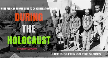 African Victims in Nazi Concentration Camps: A Forgotten Holocaust History