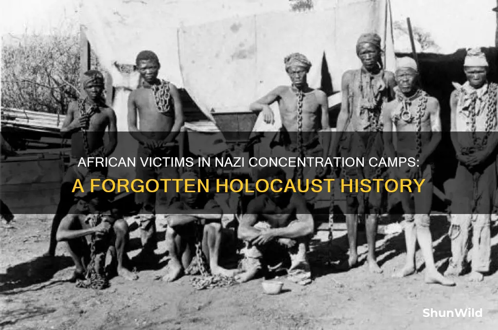 were african people sent to concentration camps during the holocaust