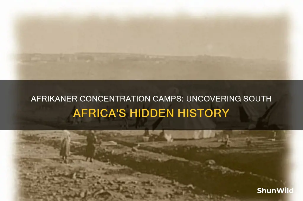 were afrikaners put in camps