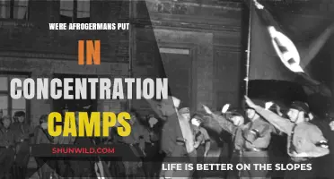 Afrogermans in Concentration Camps: Uncovering a Hidden History of Persecution