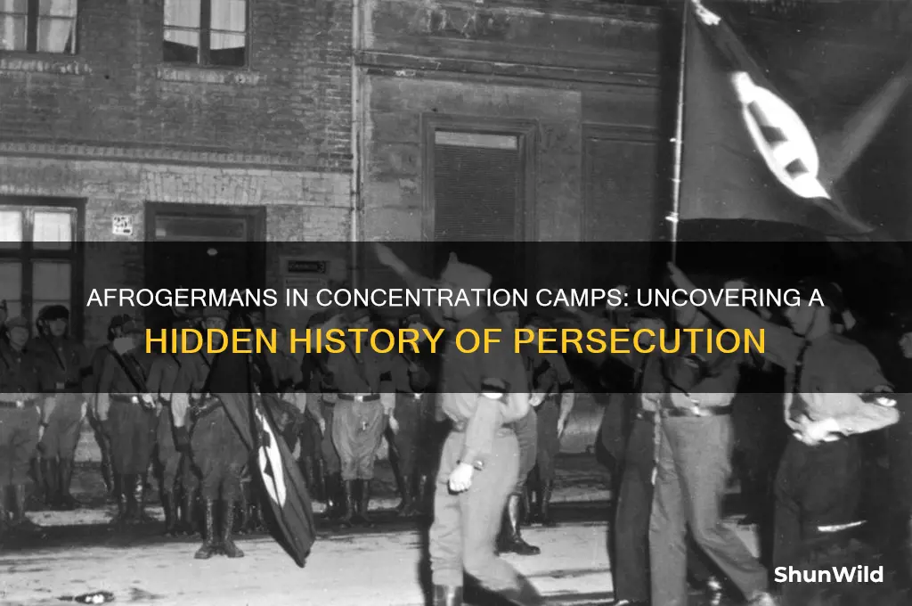 were afrogermans put in concentration camps