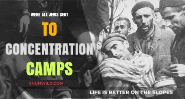 Were All Jews Sent to Concentration Camps? Unraveling the Holocaust's Tragic Truth