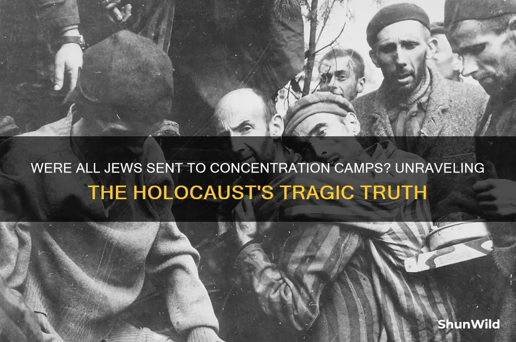 were all jews sent to concentration camps