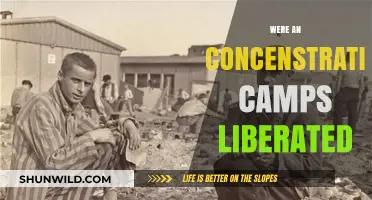 Liberation of Concentration Camps: Unveiling the End of Nazi Atrocities