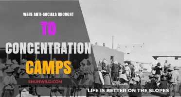 Were Anti-Socials Targeted and Sent to Concentration Camps?