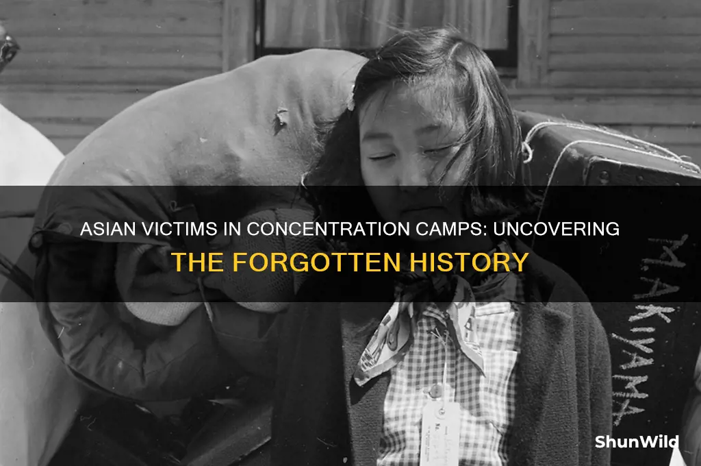 were any asians killed in the concentration camps