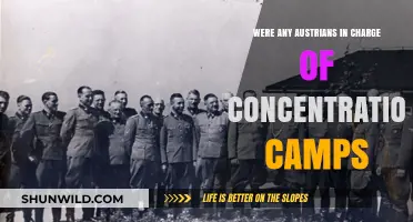 Austrian Leadership in Nazi Concentration Camps: Historical Facts Revealed