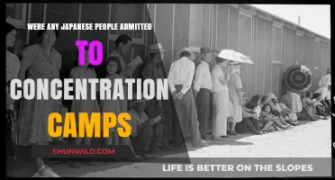 Japanese Americans in Concentration Camps: A Historical Overview