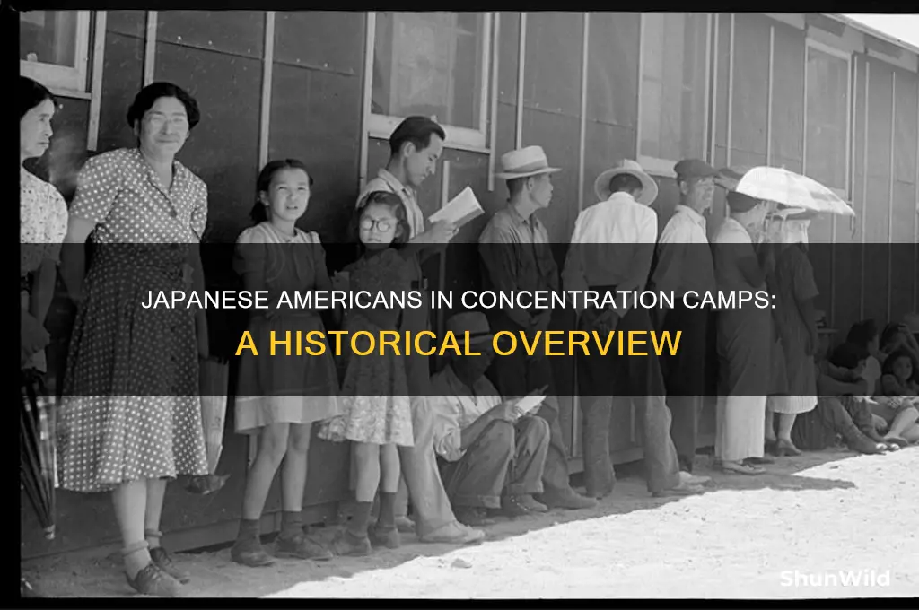 were any japanese people admitted to concentration camps