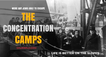 Escaping the Holocaust: Jewish Survivors' Stories from Concentration Camps