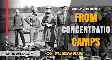 Liberation from Nazi Camps: Jewish Survivors' Stories of Freedom