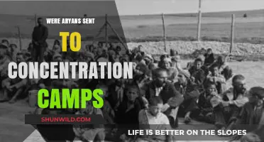 Aryans in Concentration Camps: Historical Misconceptions and Realities Explored