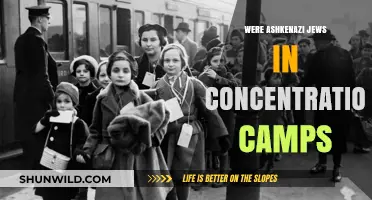 Ashkenazi Jews in Concentration Camps: History, Resilience, and Legacy