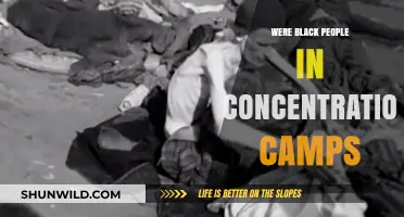 Black Victims in Concentration Camps: A Hidden History Revealed