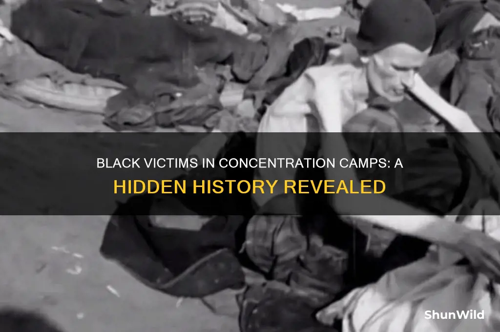 were black people in concentration camps