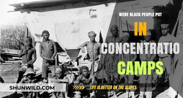 The Forgotten History: Black People in Concentration Camps