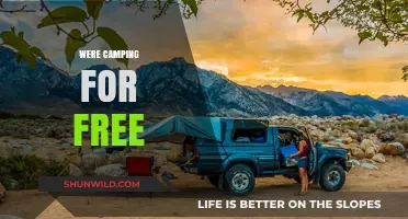 Discover the Joy of Free Camping: Tips and Tricks
