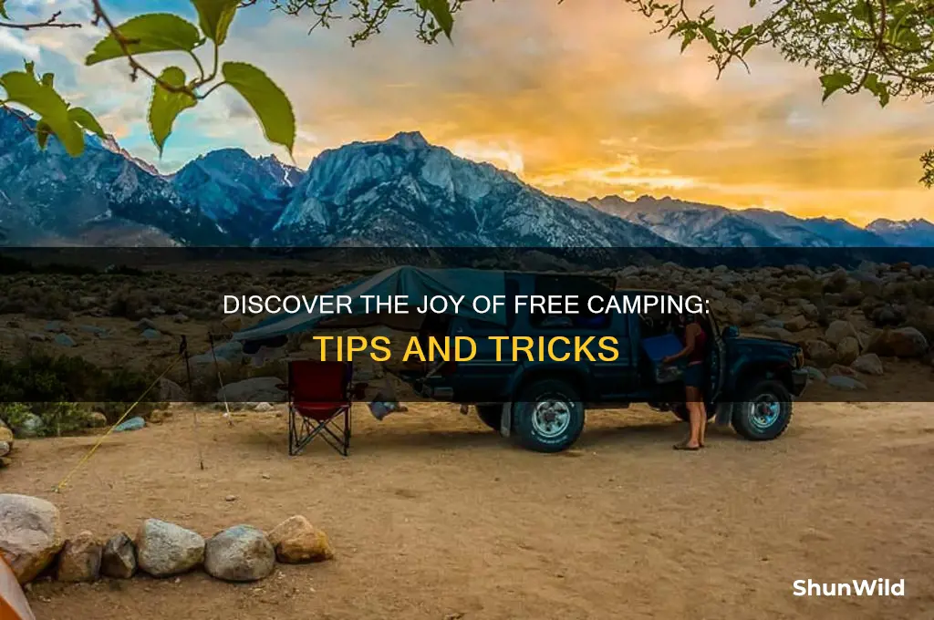 were camping for free