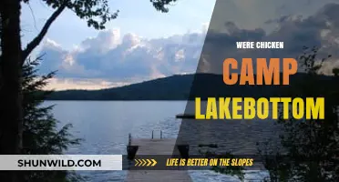 Exploring the Mystery of Were Chicken Camp Lakebottom