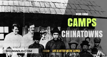 Were China Camps the Precursors to Modern Chinatowns?