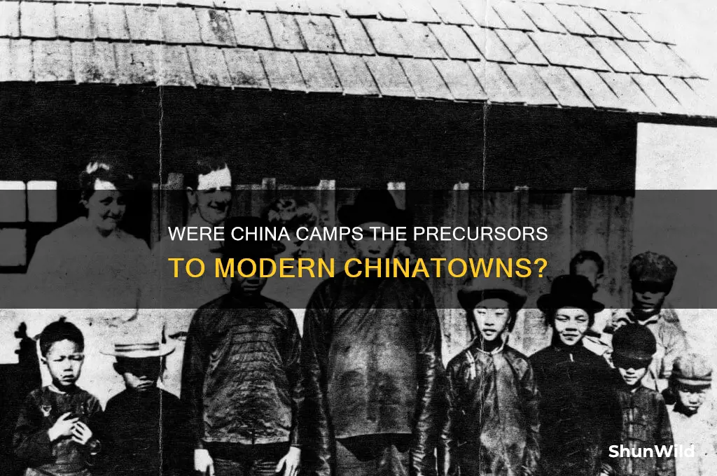 were china camps chinatowns