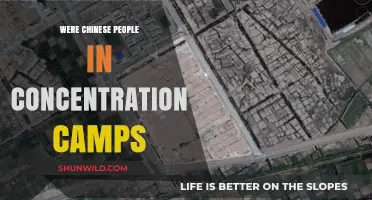 Unveiling the Hidden History: Chinese People in Concentration Camps