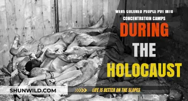 Colored Victims of the Holocaust: Forgotten Stories of Concentration Camps