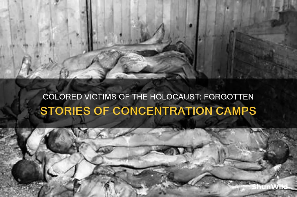 were colored people put into concentration camps during the holocaust