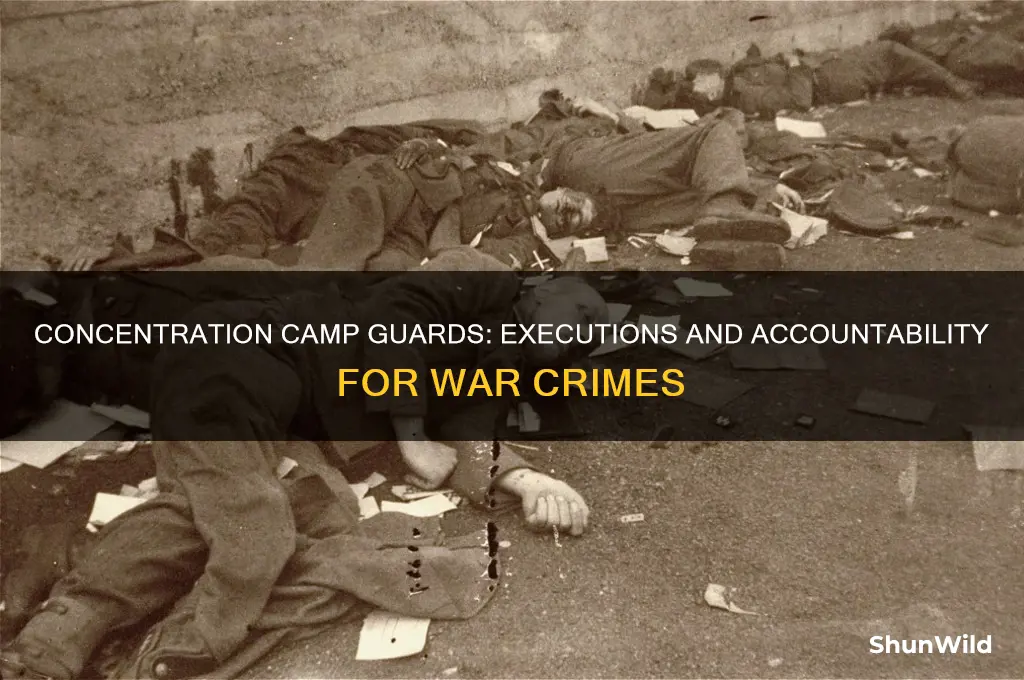 were concentration camp guards executed