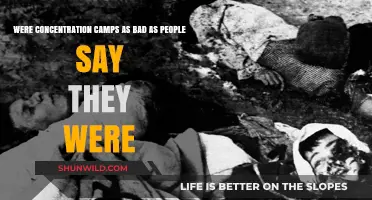 Unveiling the Brutal Truth: Concentration Camps' Horrors Exposed