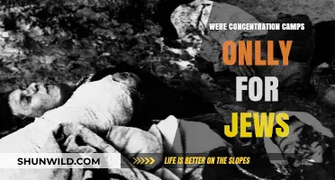 Beyond Jews: The Diverse Victims of Concentration Camps