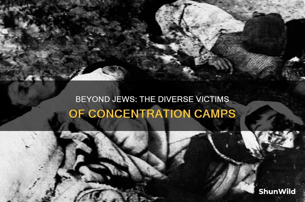were concentration camps onlly for jews