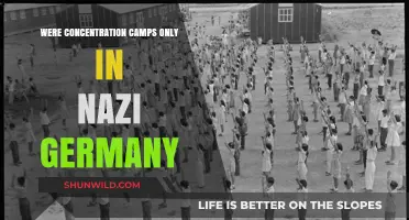 Beyond Nazi Germany: The Global History of Concentration Camps